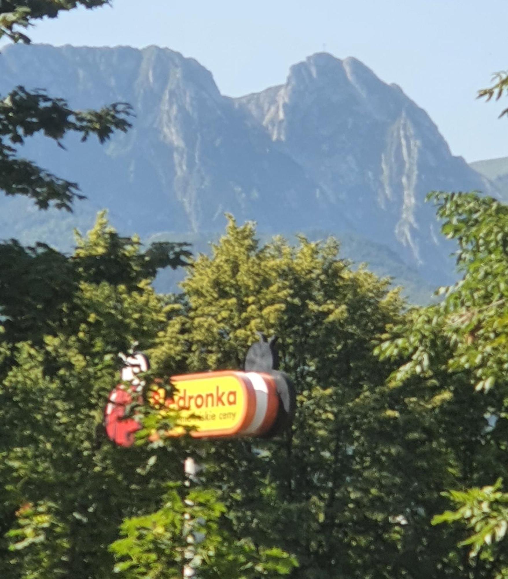 Apartament Orkisz Zakopane Szoba fotó